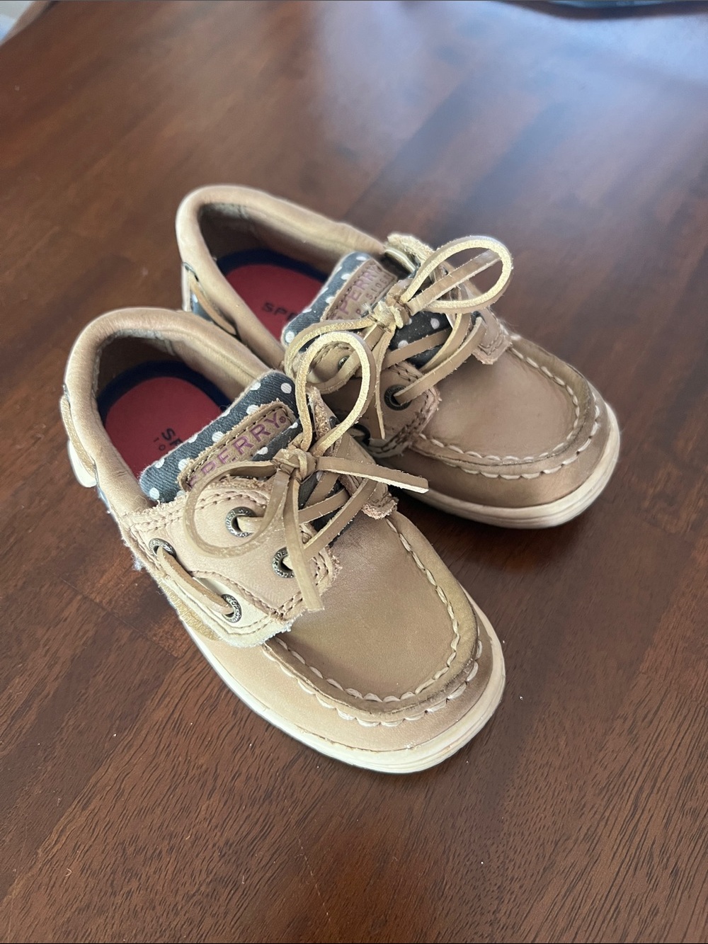 Sperry Bluefish Jr. Toddler 8